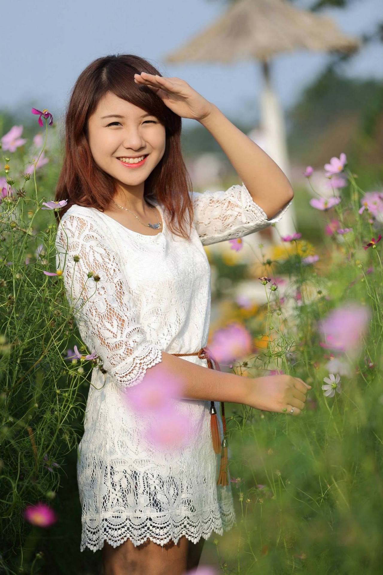 成全免费观看完整版电视剧高清